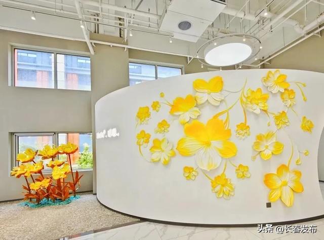 走进长春！150个网红打卡地之赛诺美焱美学馆