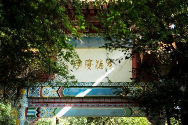 这个“名牌加身”的西南山城，正适合淡季来玩！