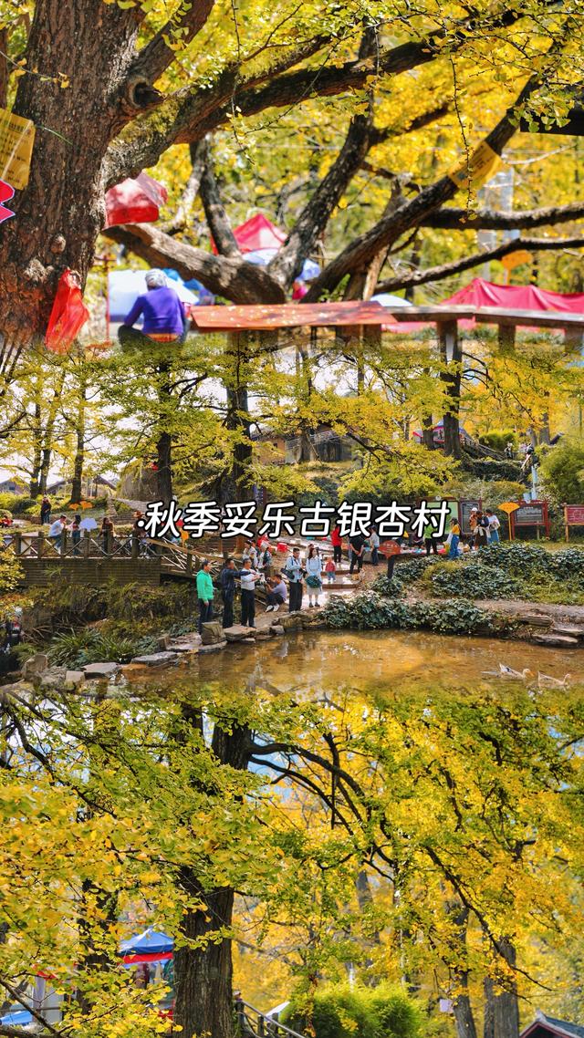 自驾游！跟着《乌蒙深处》打卡毕节