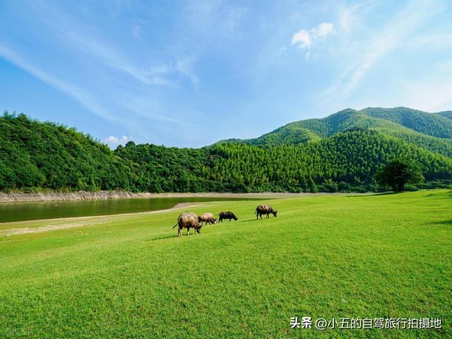 安吉秋日赏秋实测攻略！8 大打卡地 + 交通干货，直接抄