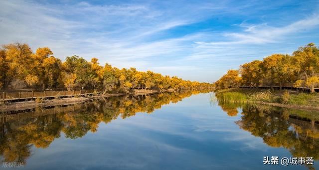 别再问喀什胡杨啥时候最美！喀什胡杨节全攻略→