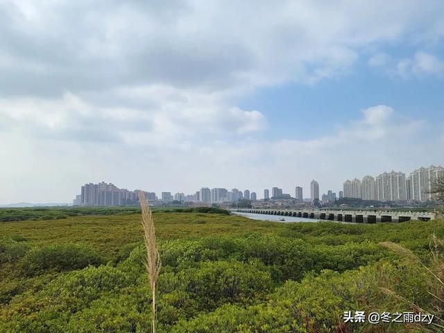 悠游泉州⑦:海内第一桥——洛阳桥(2025.2.8)