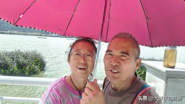 自驾路上的“货”色图鉴，笑料与温暖齐飞