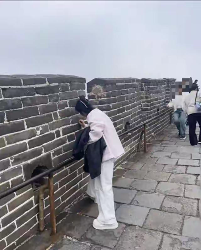 女子长城上拿刀刻名字，无视别人劝阻，看了处罚才知道：太轻了！