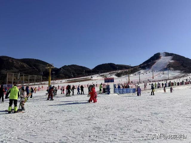 全域冰雪+萌宠逐雪+千万补贴平谷区第十七届冰雪季开幕 打造京津冀文旅休闲新地标