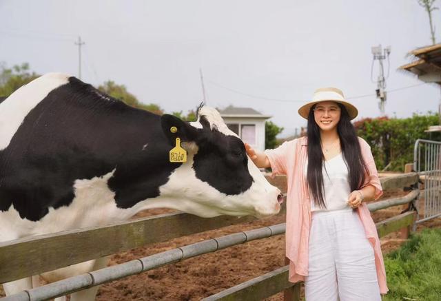 盘点我去过浙江泰顺的五个绝美地，比国外还美，知道的游客却很少