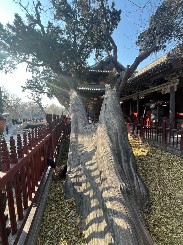 山西全境自驾游(十二天):太原晋祠