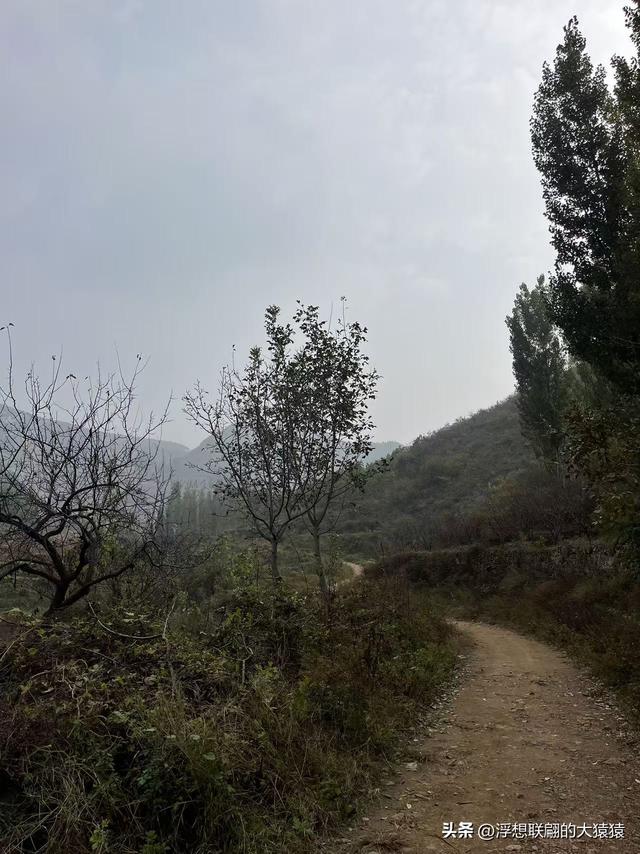 老姑峪的大寨没寻着，误打误撞跑去了张家台的麒麟寨（莱芜游）