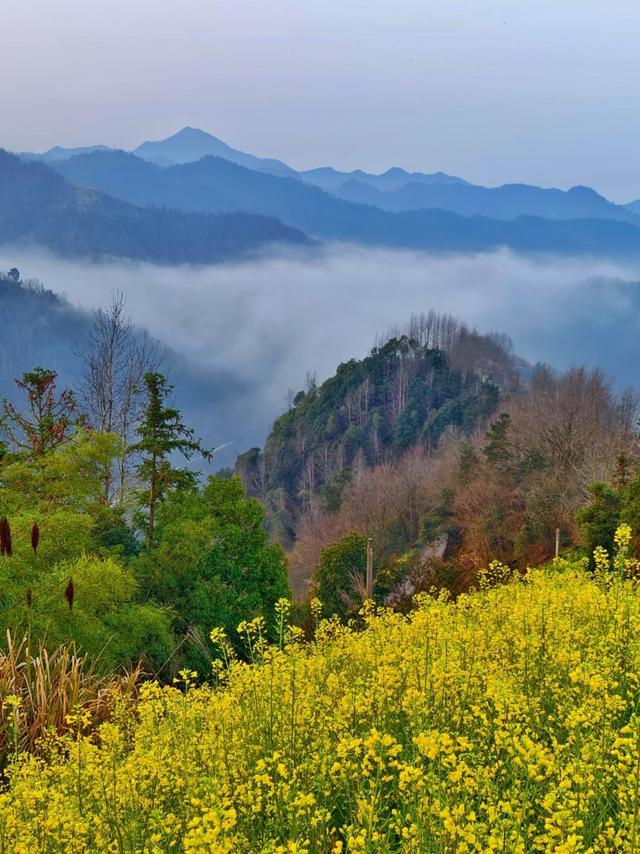 和老伴去安徽歙县住了一个月，我实话实说：跟想象中完全不一样