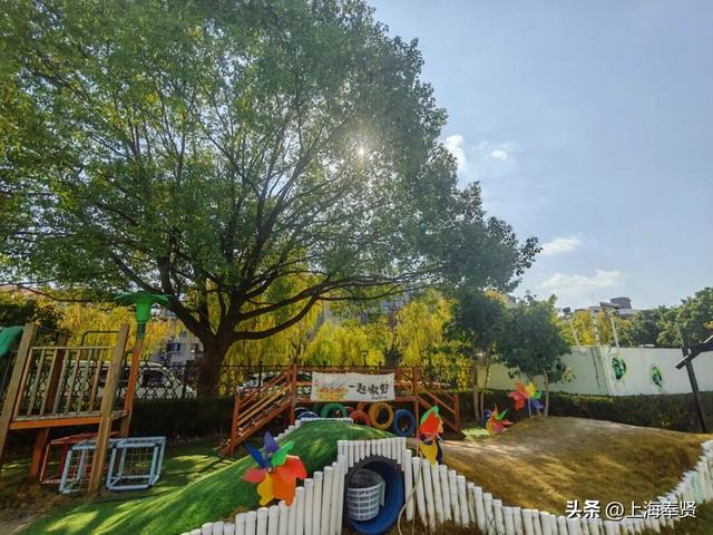 奉浦校园初冬美景大赏，你家娃的学校藏着这样的冬日浪漫