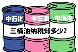 “三桶油”纳税：中石油3250亿元，中石化2802亿，中海油723亿图片