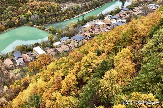 秋辞官鹅：一季斑斓入岁华