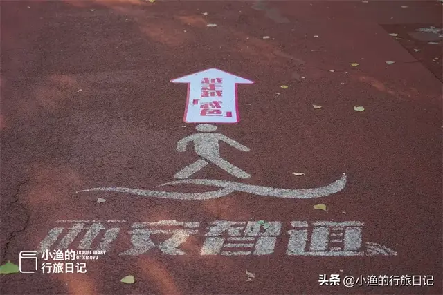 西安这个公园有点“怪”，风景一般，早上的游客却很多！你去过吗