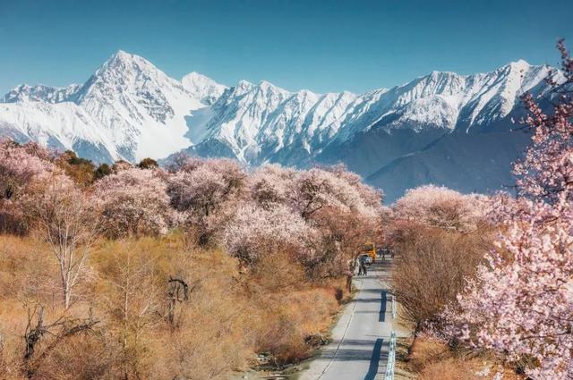 西藏最美公路！409公里串起雪山桃花湖泊