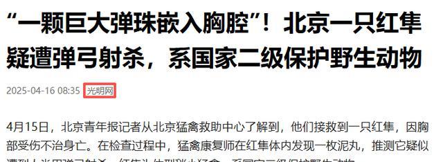 1只就判！北京一学校发现1只受伤，体内有颗巨大泥丸，没救过来