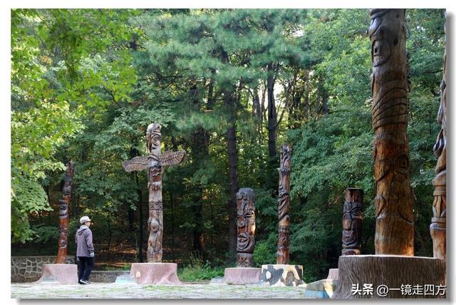 沈阳东陵郊野公园“精灵”出没