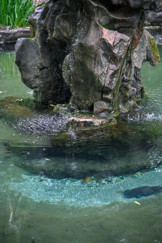 月牙泉“醒”了！济南泉水迎来最佳观赏期！