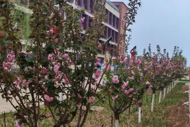 中考语文104个多音字复习，有这份材料就够了！图片