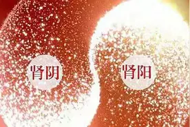 夏天养阳，最该养的是肾中元阳，一个补肾阳的迅猛方，一举补到位图片