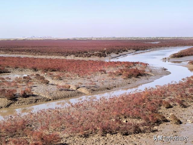 2025辽宁赏秋之旅日记(5)——从本溪前往盘锦 游览红海滩景观