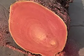 农村不起眼的木头，哪种做手串盘起来包浆更快？真没想到是这几个图片