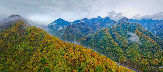 枫景如画，杏色满城！陕西这5个红叶观赏地，每一帧都是大片呈现