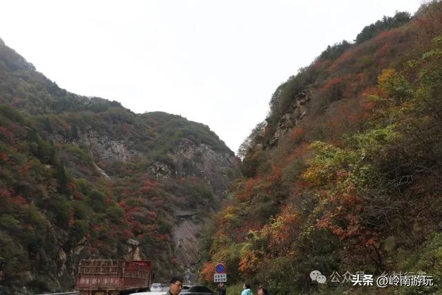 从西安出发，蓝田免费的4A级景区，爬山登高看秋景样样都很美！