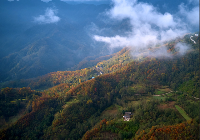 走不出这画了，我已被平武的彩林迷倒！