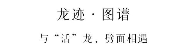 去了一趟山西，相信古人是真的见过龙！