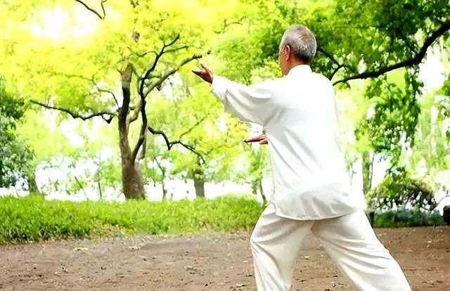 太极拳三练三不练