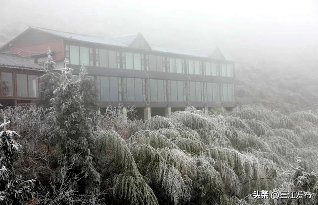 绝美!三江大塘坳惊现“琉璃仙境”!