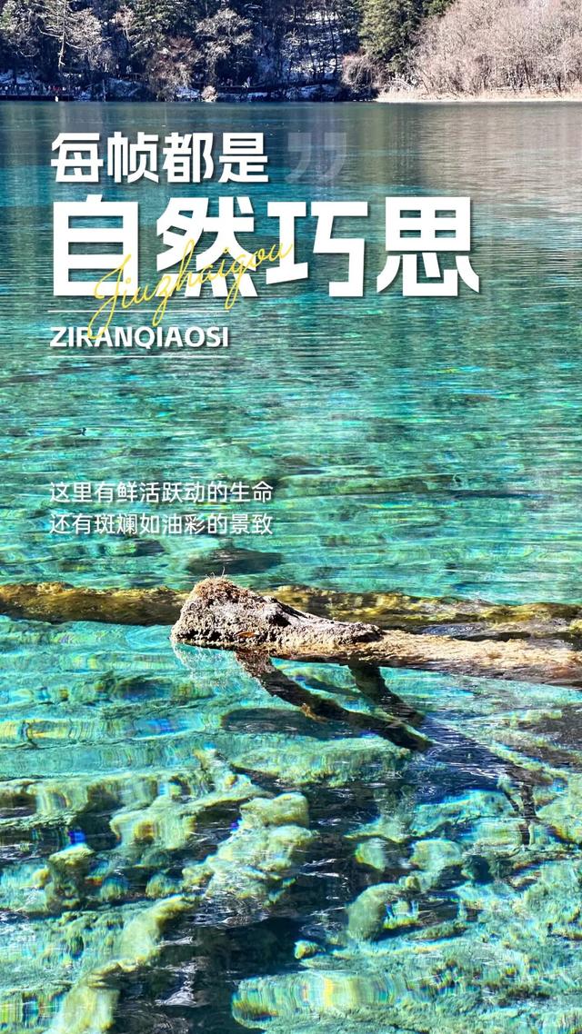 九寨沟冬日限定皮肤上线！冰玉崖岸，妥妥的自然界顶流美学。