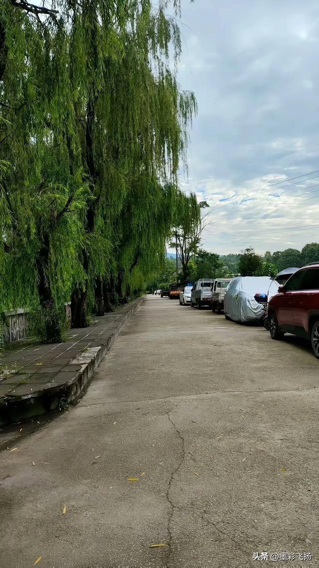 清晨起来去锻炼