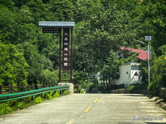 秦岭深山一条导航不出来的路，却是一条千年古道，有老屋有古树