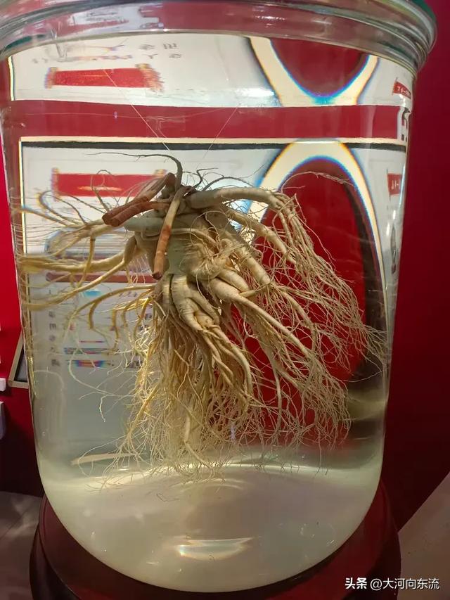 潍坊酒文化研究会酒器收藏协会2026年度工作会议在云门春酒业召开