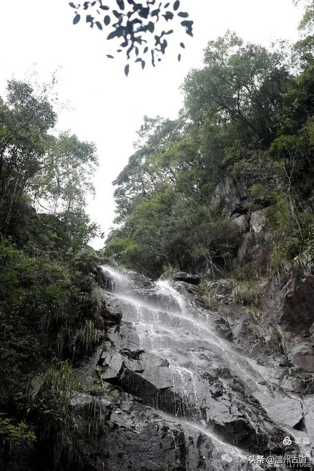 远上乌岩岭上斜,白云生处白云尖!温州这处秋日美景值得一去!