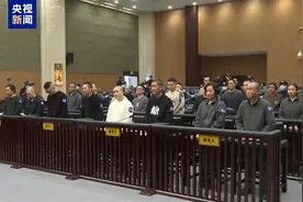 最高检工作报告里，提到了这些典型案件图片