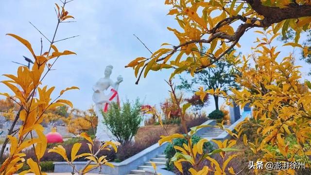 寻美薛城丨又见一年榴叶黄！