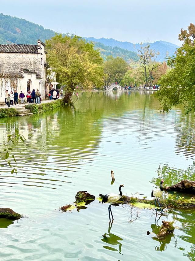 宏村很牛(黟县宏村)