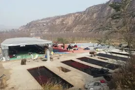 兴县：红枣深加工 致富好产业图片