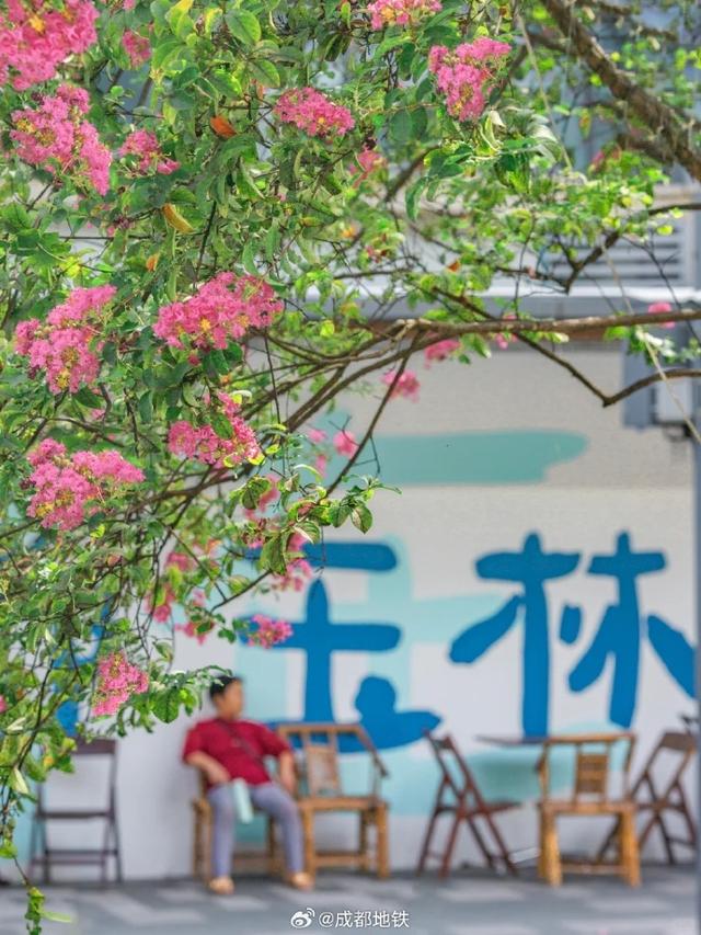 三线直达！来逛一哈这条Gai~