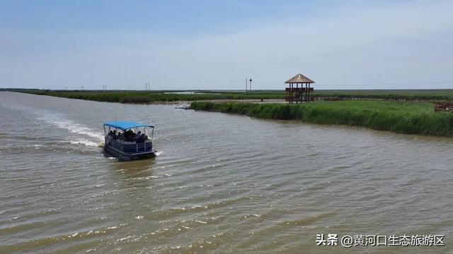 【黄河口生态旅游区】今日入伏 出游温馨提示