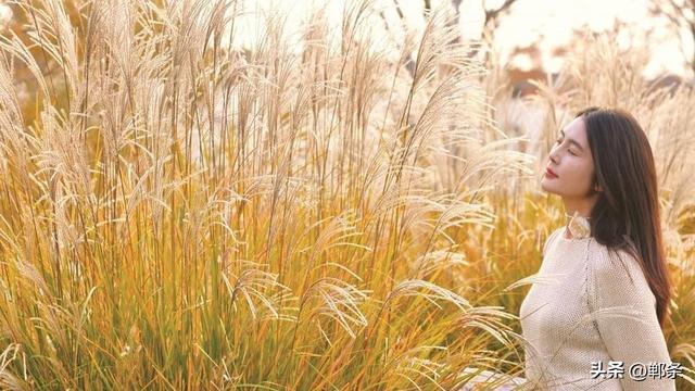 美在邯郸 | 清浅冬韵入园林