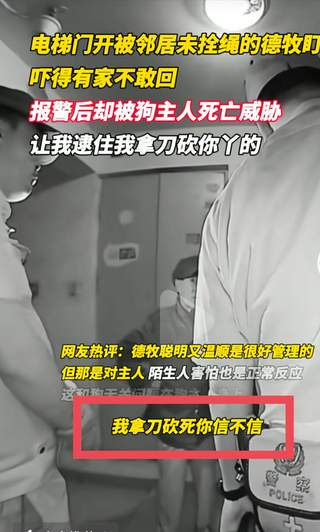 北京男子回家遇德牧拦路，报警反遭威胁，养狗大爷：拿刀砍你丫的