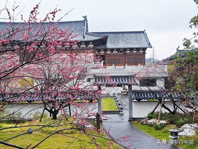 南部县寺外桃源景区：景村-乡镇-片区联动助力南西盐三县文旅发展