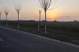 腰间盘突出保守好了，已经上班一年了图片