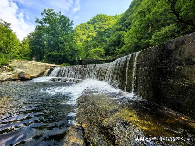 夏末秋初送清凉，来自黑河国家森林公园的惊喜等你查收~