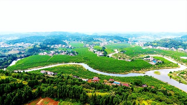 四川省安岳县历史沿革及行政区划