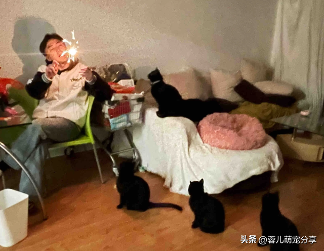 男子吐槽老婆是为了猫才和他结婚的，本来不信，结果哈哈笑喷了！