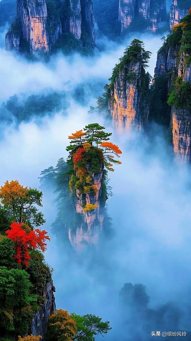 云雾若轻纱，缠绕于嶙峋石柱之间